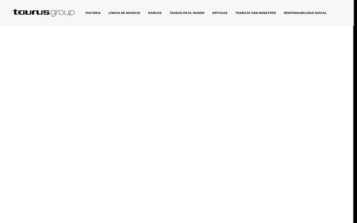 Screenshot of group-taurus.com