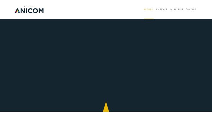 Screenshot of groupe-anicom.fr