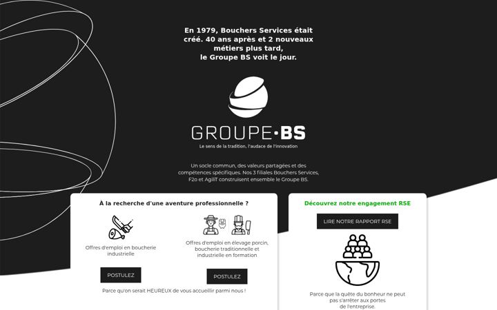 Screenshot of groupe-bs.com