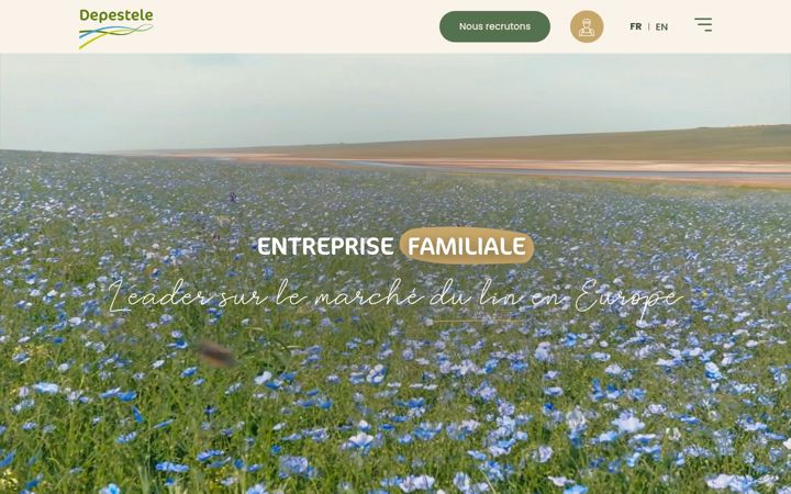 Screenshot of groupe-depestele.com