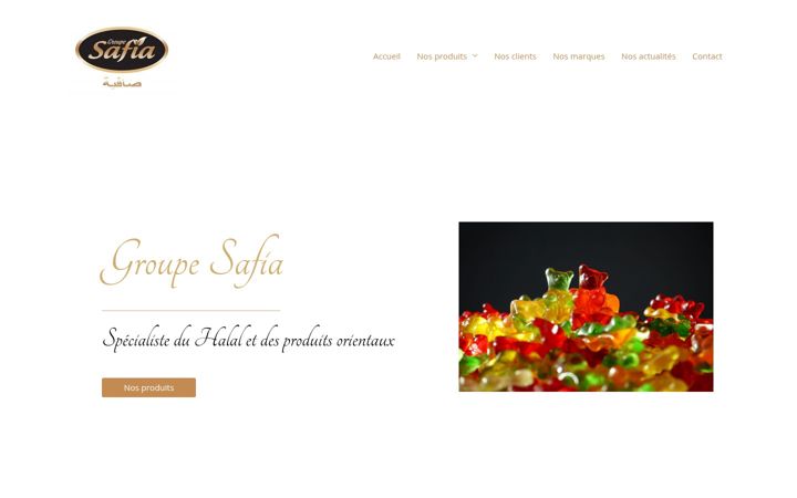 Screenshot of groupe-safia.com
