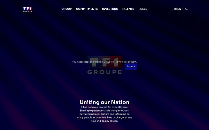 Screenshot of groupe-tf1.fr