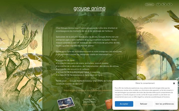 Screenshot of groupeanima.com