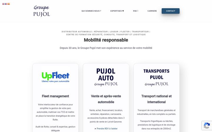 Screenshot of groupepujol.com