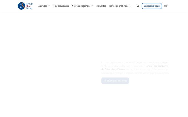 Screenshot of groupepv.be
