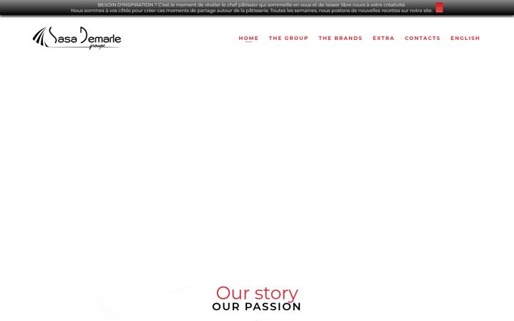 Screenshot of groupesasademarle.fr