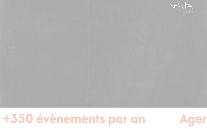 Capture d'écran de groupevista.com