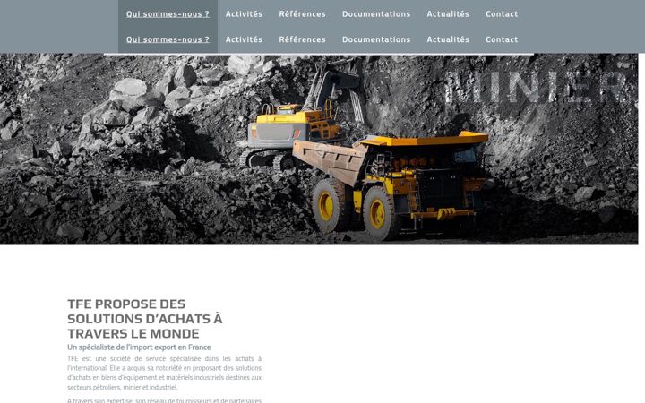 Screenshot of grouptfe.com