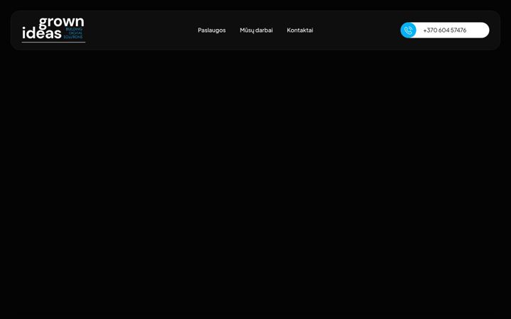 Screenshot of grownideas.lt