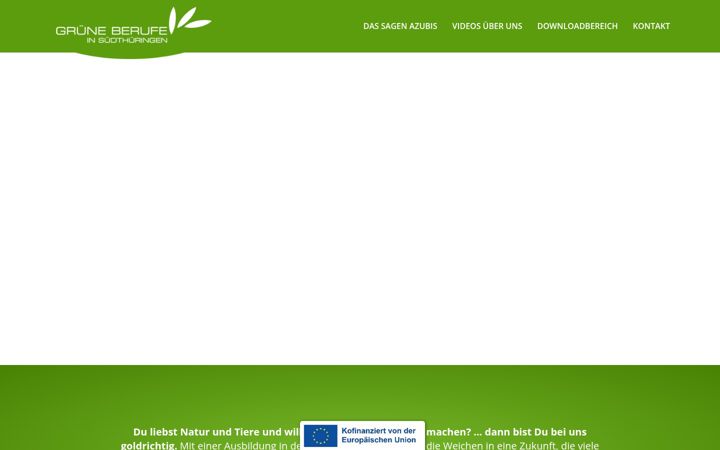 Screenshot ta' grueneberufe.de