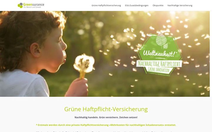Screenshot of gruenehaftpflichtversicherung.de
