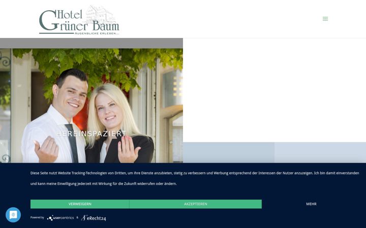 Screenshot of gruener-baum-hotel.de