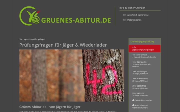 Screenshot of gruenesabitur.de