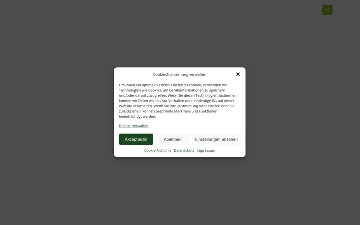 Screenshot of gruenewald-international.com