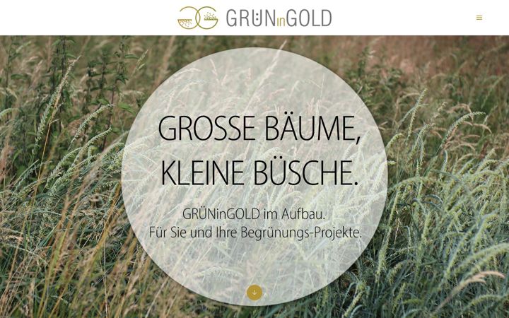 Screenshot of grueningold.ch