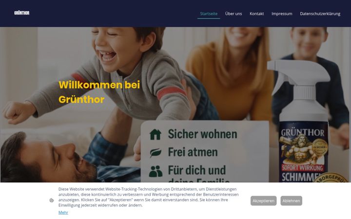 Screenshot of gruenthor.de
