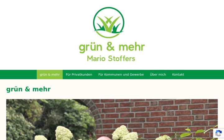 Screenshot of gruenundmehr.de