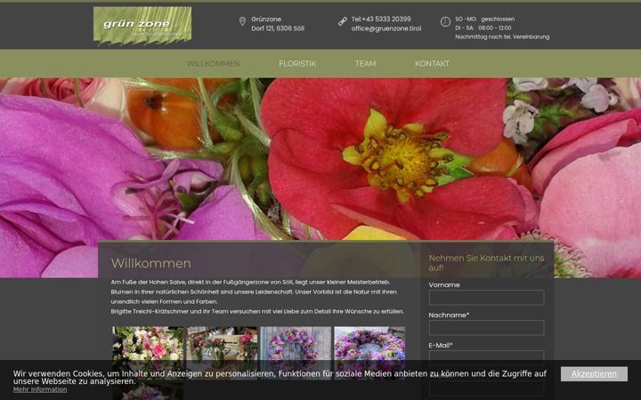 Screenshot of gruenzone.tirol