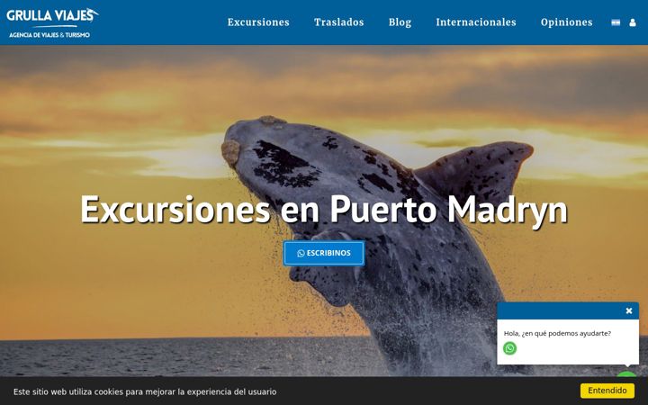 Screenshot of grullaviajespatagonia.com