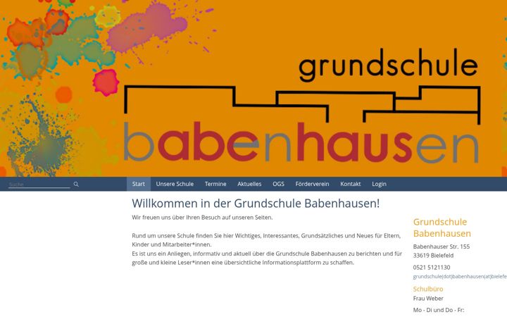 Screenshot of grundschule-babenhausen.net