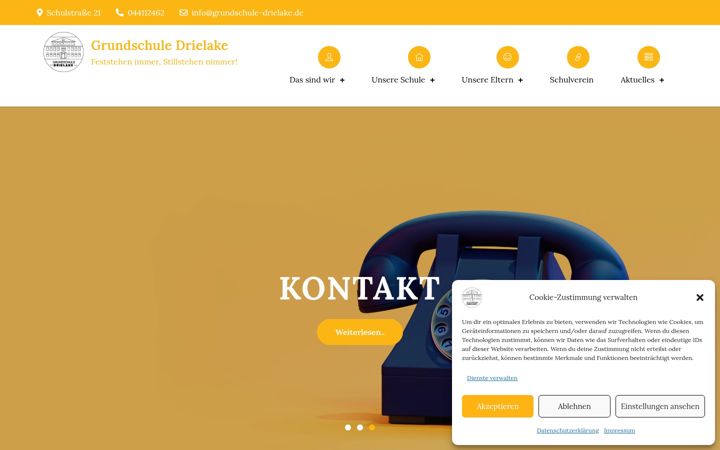 Screenshot of grundschule-drielake.de