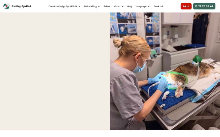 Screenshot of grundtvigs-dyreklinik.dk