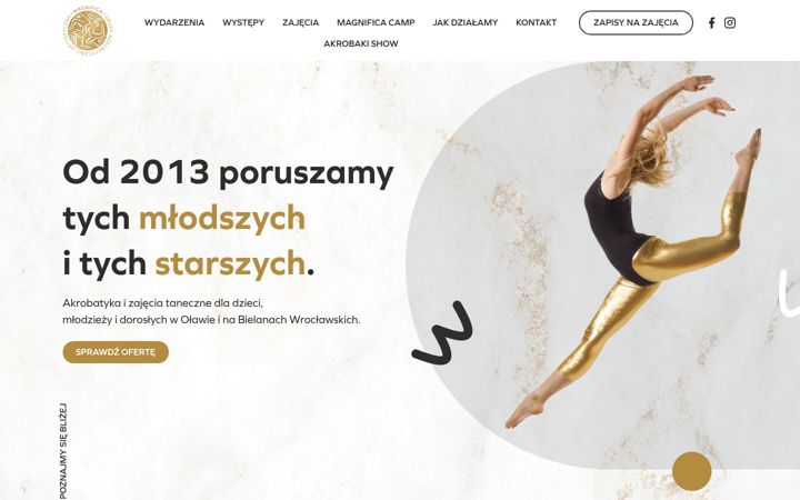 Screenshot of grupa-magnifica.pl