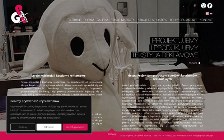 Screenshot of grupa-projektor.pl