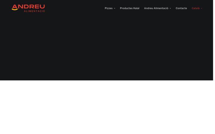 Screenshot of grupandreu.com