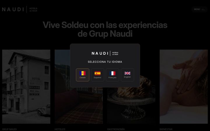 Screenshot of grupnaudi.com
