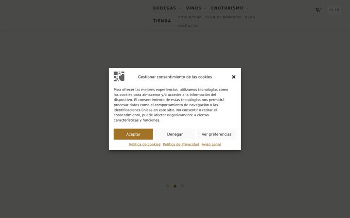 Screenshot of grupobodegasolarra.com