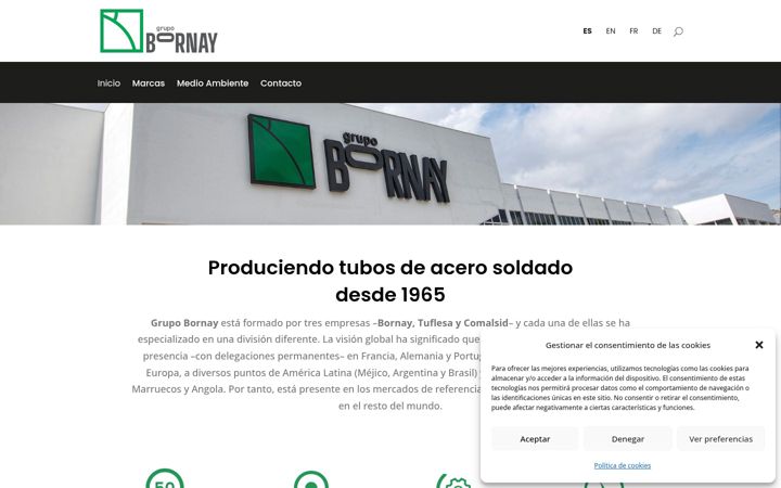 Screenshot of grupobornay.com
