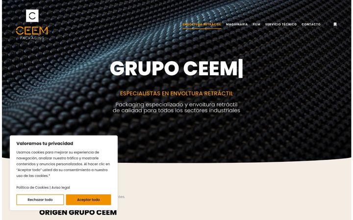 Screenshot of grupoceem.com