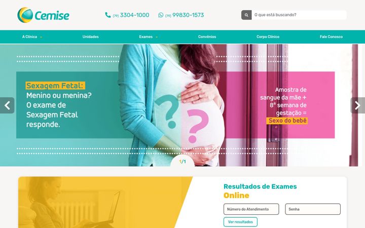 Screenshot of grupocemise.com.br