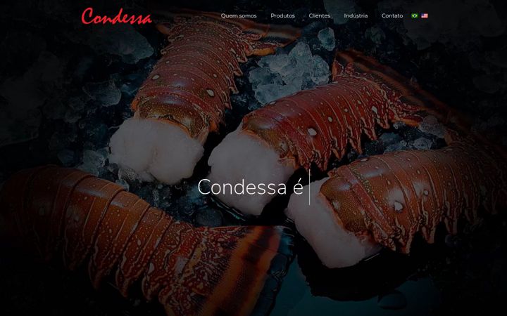 Screenshot of grupocondessa.com.br