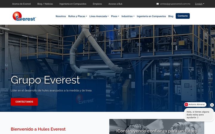 Screenshot of grupoeverest.com.mx