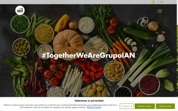Screenshot of grupoian.com