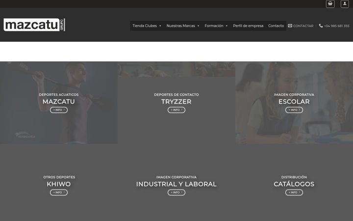 Screenshot of grupomazcatu.com