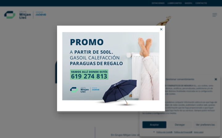 Screenshot of grupomitjanlloc.com