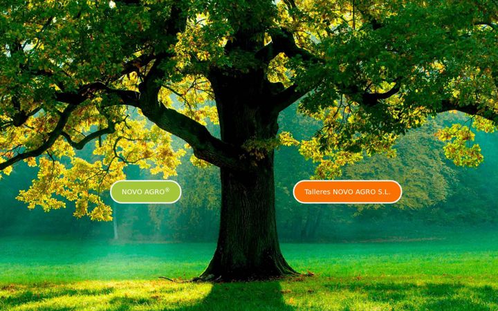 Screenshot of gruponovoagro.es