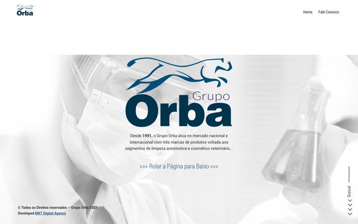 Screenshot of grupoorba.com.br