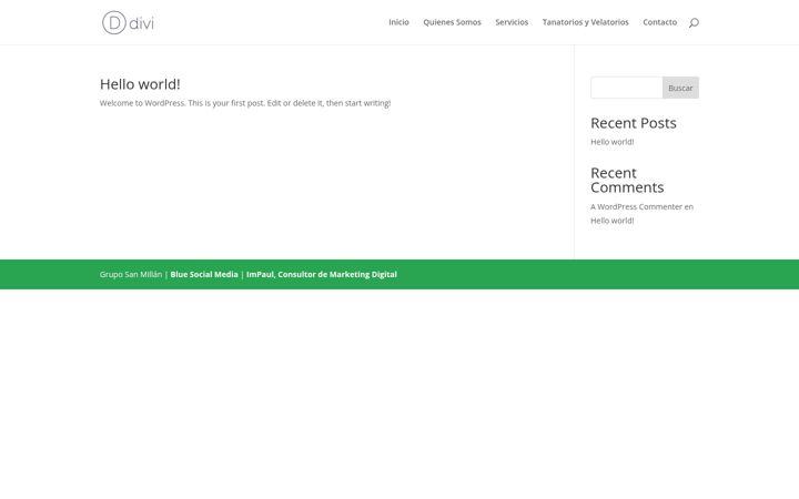 Screenshot of gruposanmillan.es