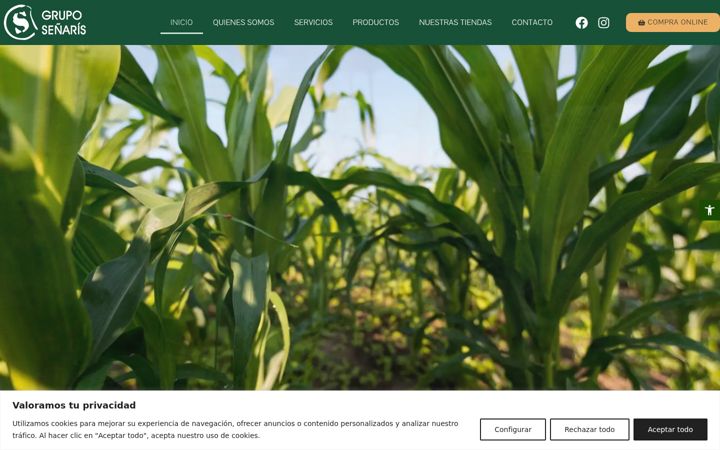 Screenshot of gruposenaris.com