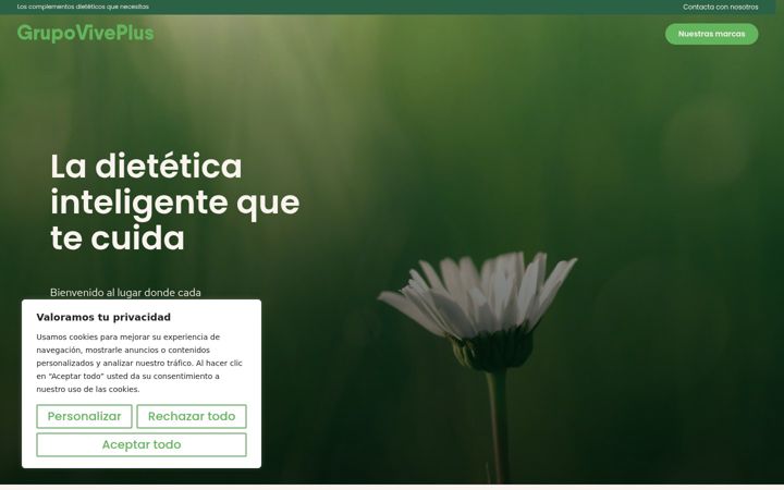 Screenshot of grupoviveplus.com
