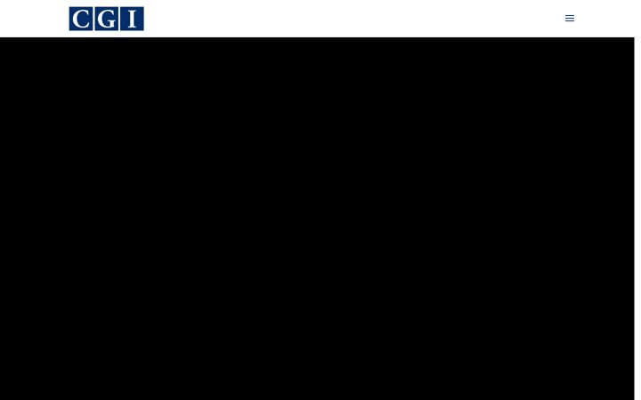 gruppocgi.it
