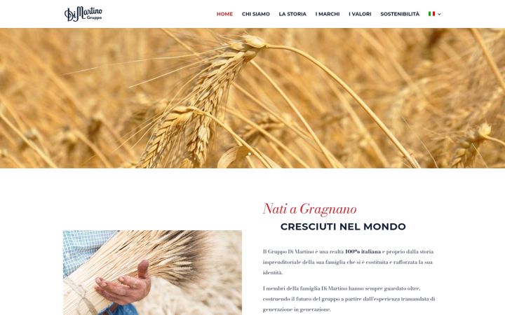 Screenshot of gruppodimartino.it