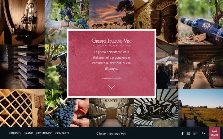 Screenshot of gruppoitalianovini.it