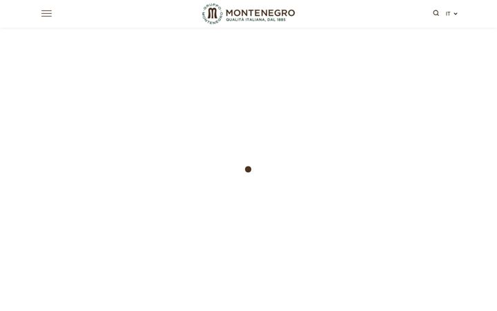 gruppomontenegro.com