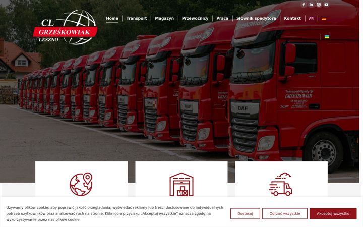 Screenshot of grzeskowiak.com.pl