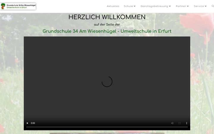 Screenshot of gs-am-wiesenhuegel.de